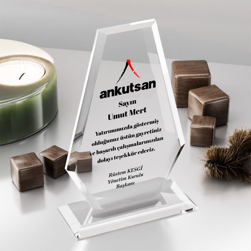 Başarı ve Teşekkür Plaketi